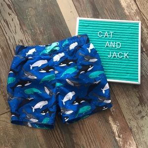 Swim Trunks and Matching Swim Shirt